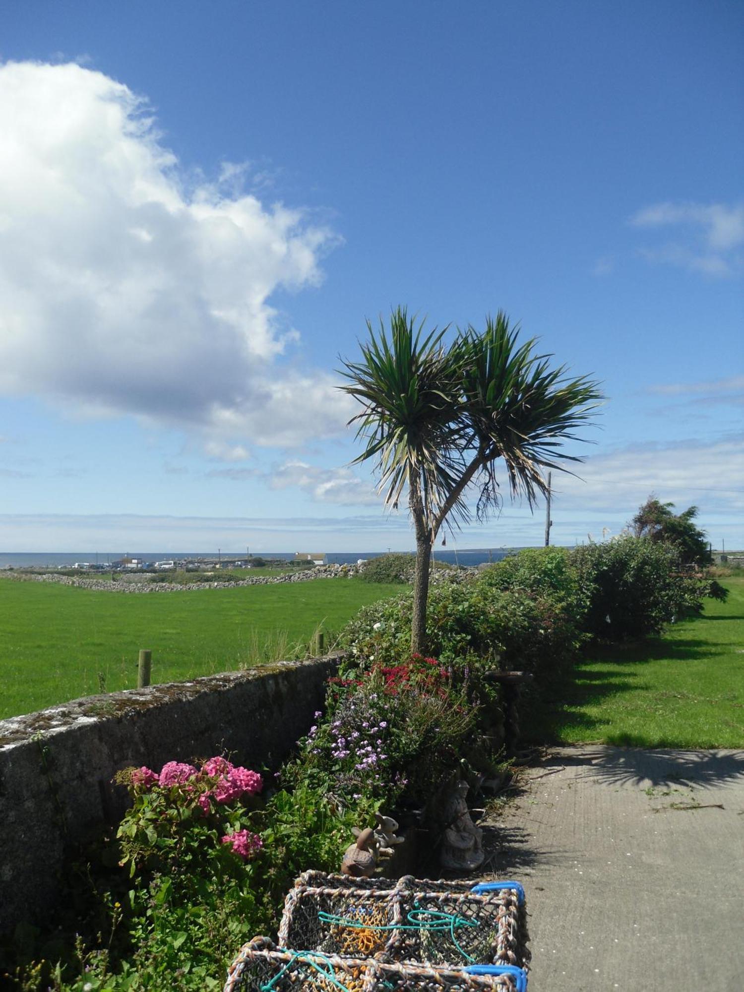 Atlantic View House Hotel Doolin Luaran gambar